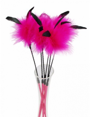 Clochette feather duster for cats