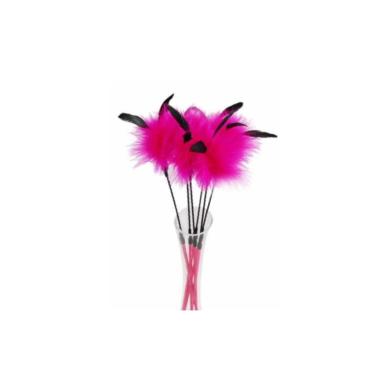 Clochette feather duster for cats