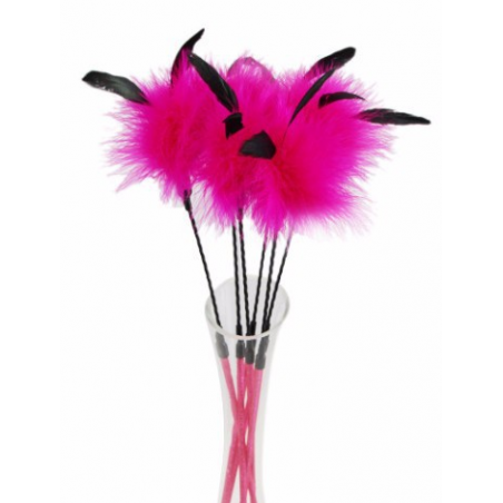 Plumeau Clochette pour chat