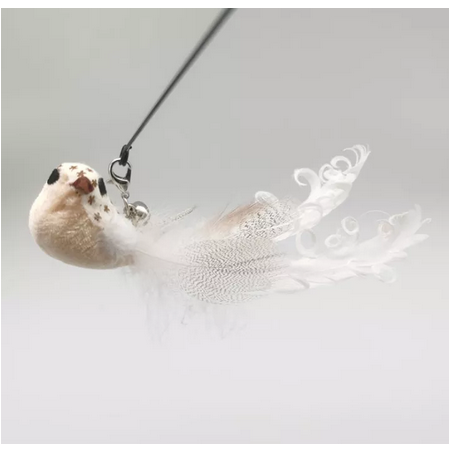 Plumeau oiseau