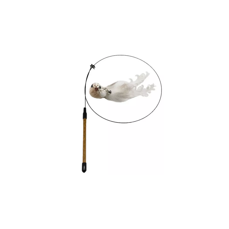 Bird feather duster