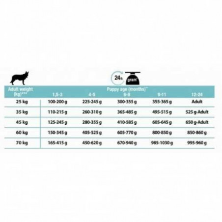 Purina, Pro Plan Large Robust Puppy Sensitive Digestion