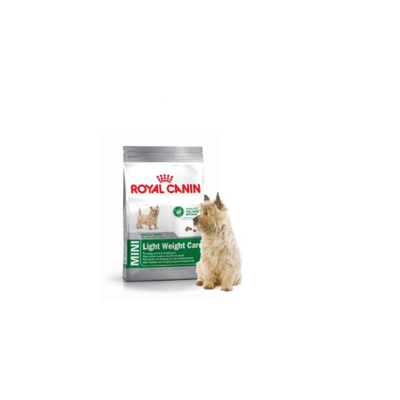 royal canin mini light