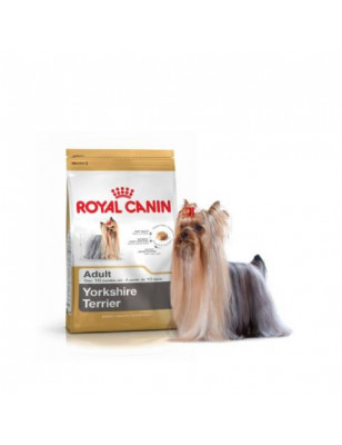 Royal Canin, Royal Canin Mini York