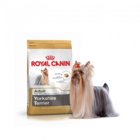 Royal Canin, Royal Canin Mini York