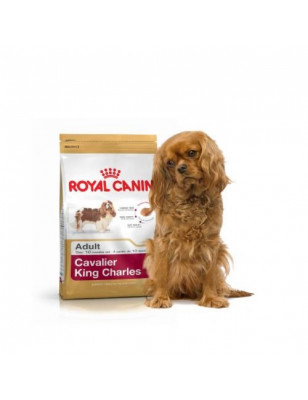 Royal Canin, Royal Canin Cavalier King Charles
