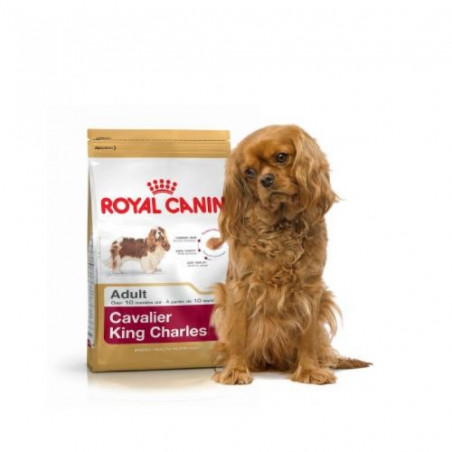 Royal Canin, Royal Canin Cavalier King Charles