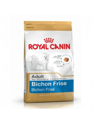 bichon royal canin