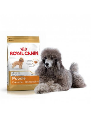 Royal Canin, Royal Canin Caniche Adulte