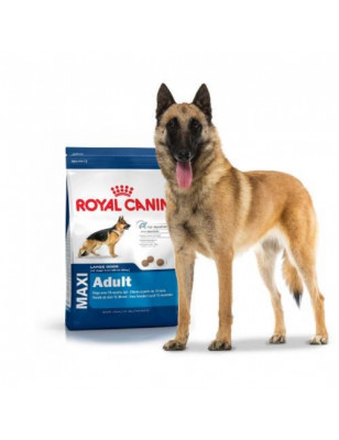 Royal Canin, Royal Canin Maxi Adult