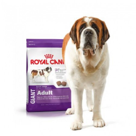 Sanicat, Royal Canin Giant Adulte