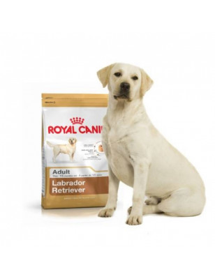 Royal Canin, Royal Canin Labrador Retriever Adulte