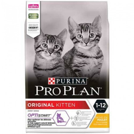 Purina, Croquettes ProPlan Chaton Poulet