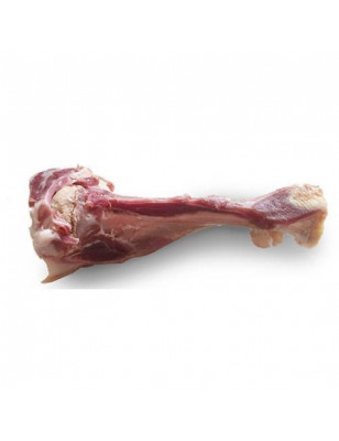 Sonstiges, italienische Parmaschinkenknochen