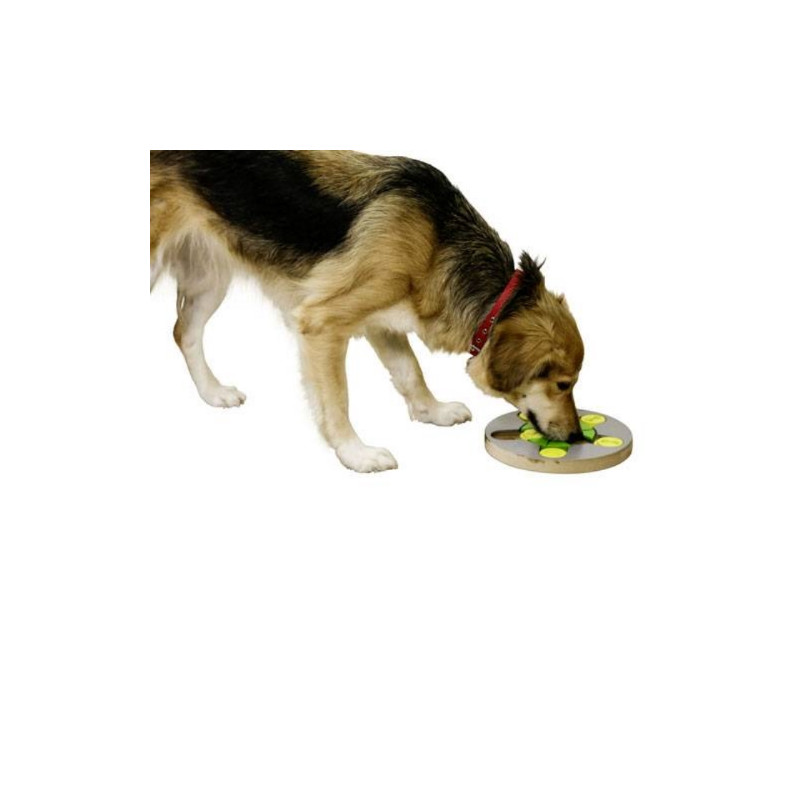 Kerbl, Jeu de réflexion Switch pour chien