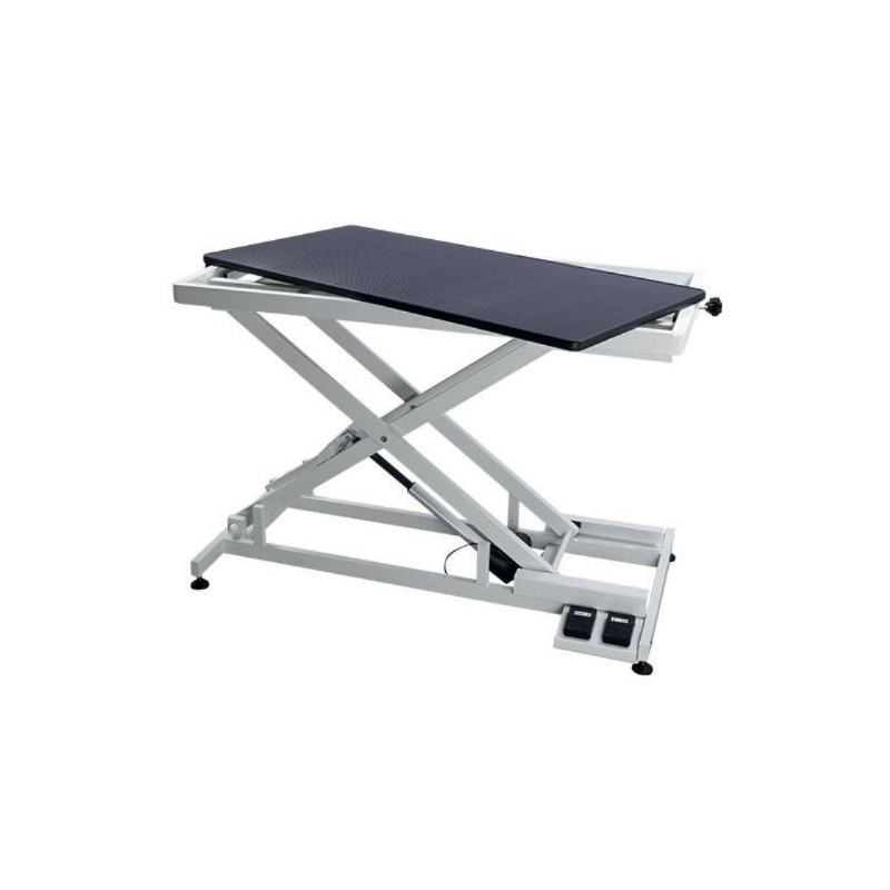 Phoenix, Table de toilettage Callisto double commande