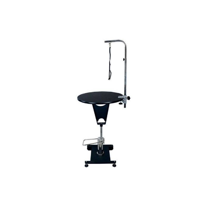 Divers, Table ronde Artemis Divers, Table ronde Artemis