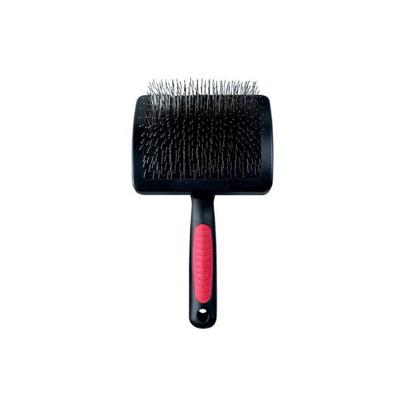 Divers, Carde Lucia Large hard pimples Divers, Carde Lucia Large hard pimples