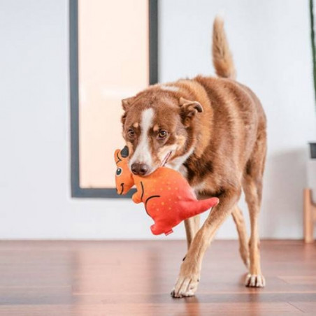 Red Dingo, Jouet Durable Kangourou Red Dingo