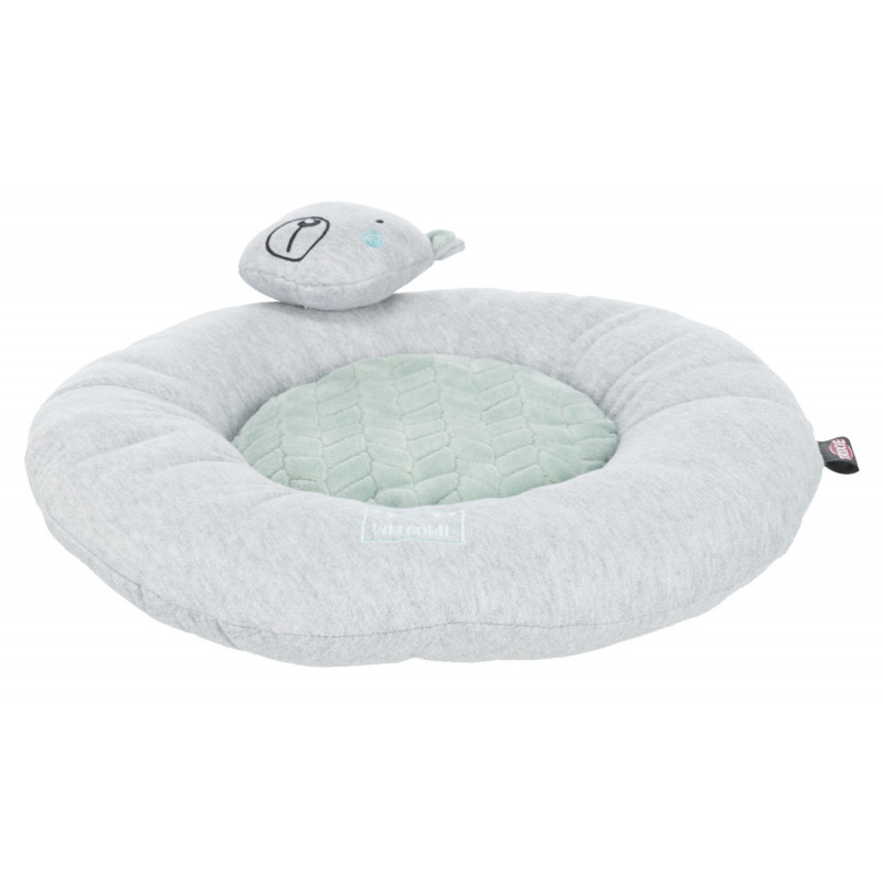 Junior Mattress