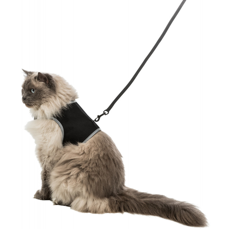Soft XXL harness with leash