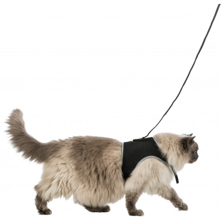 Soft XXL harness with leash