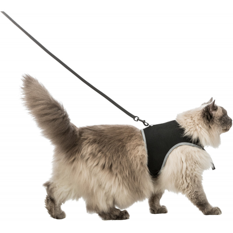 Soft XXL harness with leash