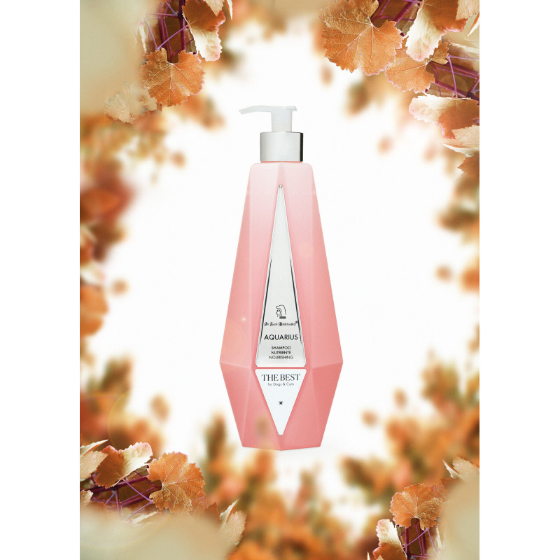 The Best, shampooing Aquarius par Iv San Bernard
