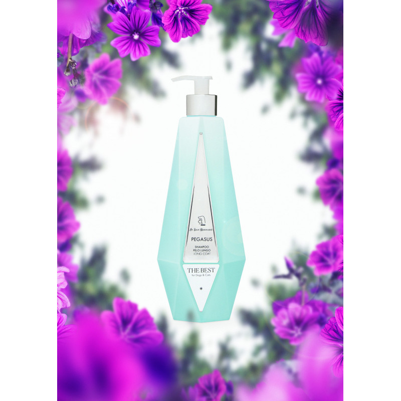 The Best, shampoo Pegasus di IV San Bernard