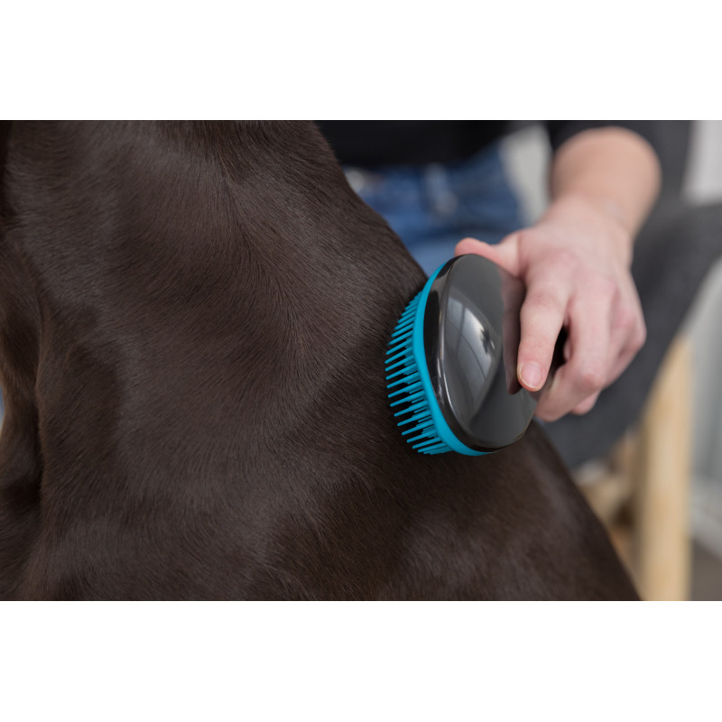 Trixie, Brosse douce
