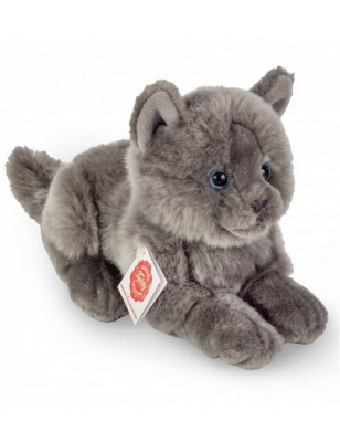 Hermann Teddy, gatito Chartreux