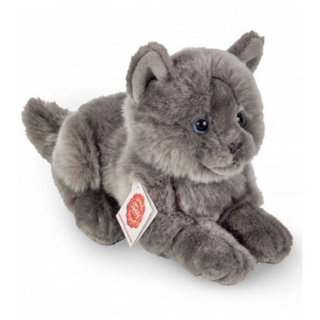 Hermann Teddy, Chartreux-Kätzchen