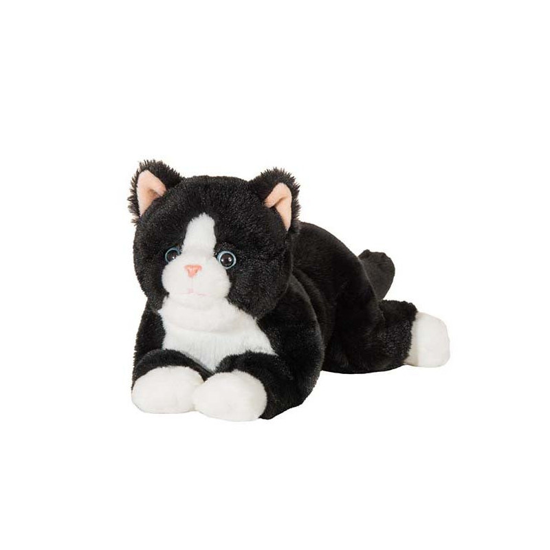 Hermann Teddy, Schwarz-Weiß-Katze Hermann Teddy, Schwarz-Weiß-Katze