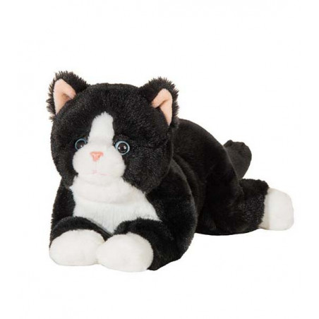 Hermann Teddy, Schwarz-Weiß-Katze