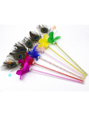 Peacock feather duster