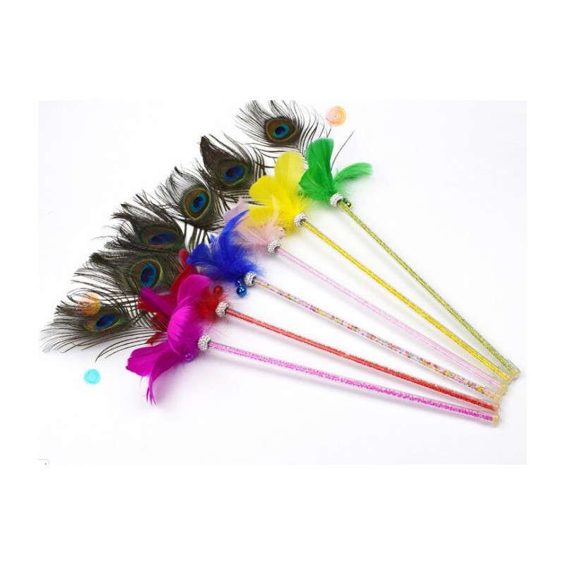 Peacock feather duster