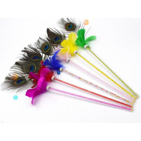 Peacock feather duster