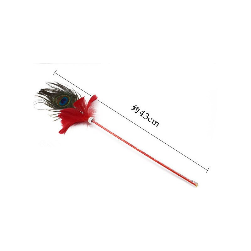 Peacock feather duster