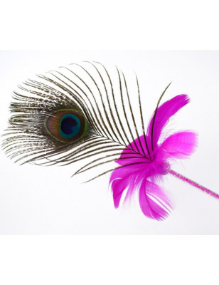 Peacock feather duster