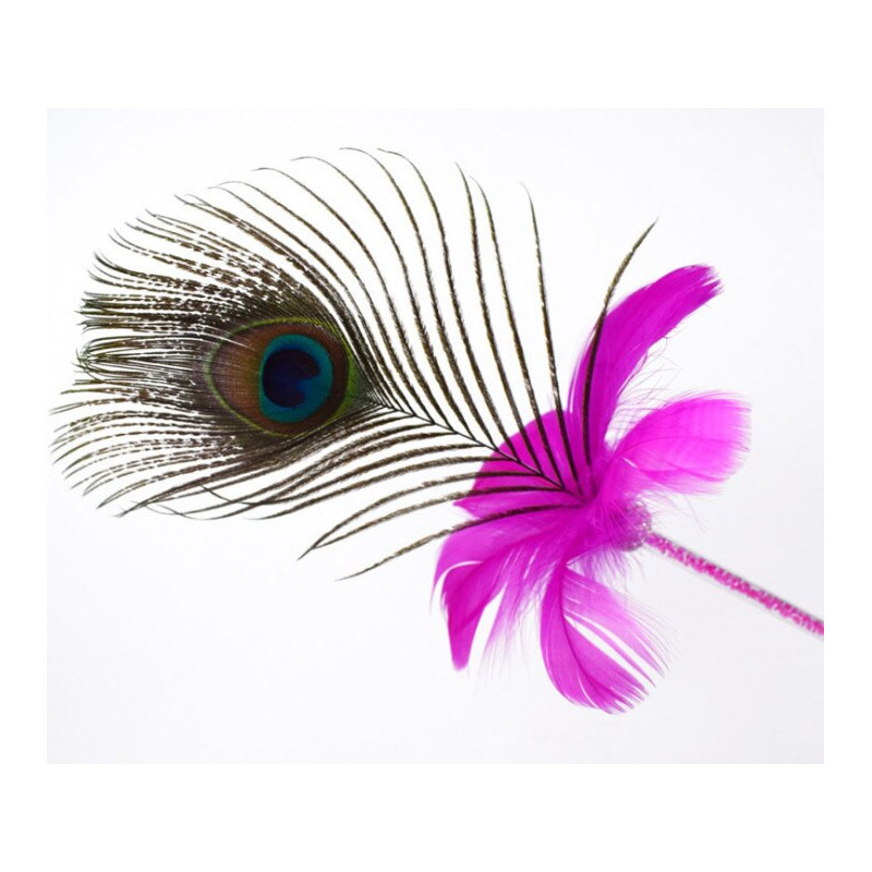 Peacock feather duster