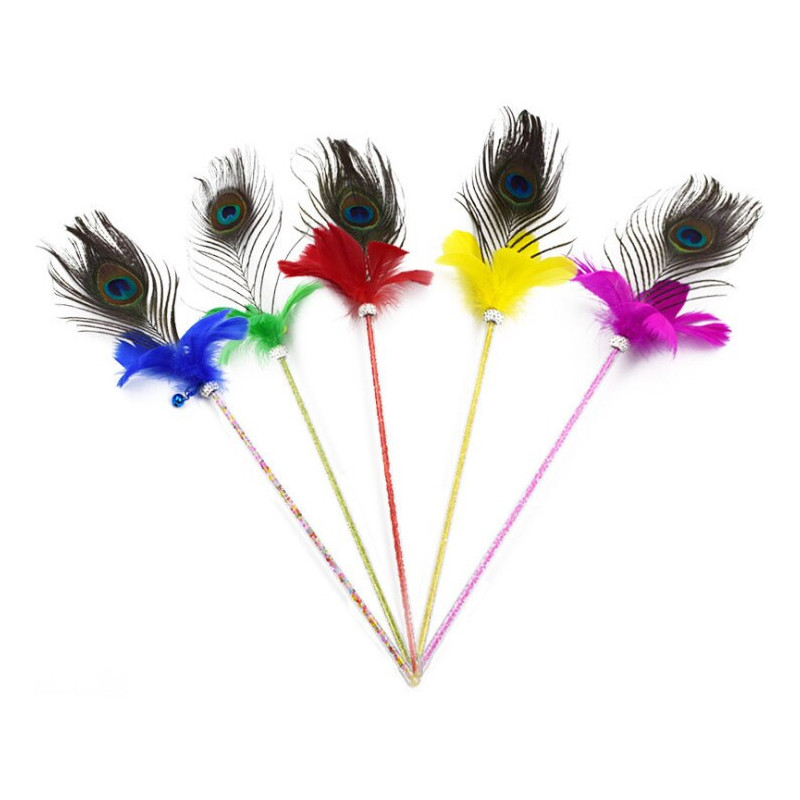 Peacock feather duster