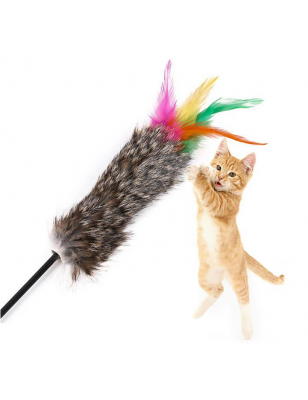 soft tail feather duster