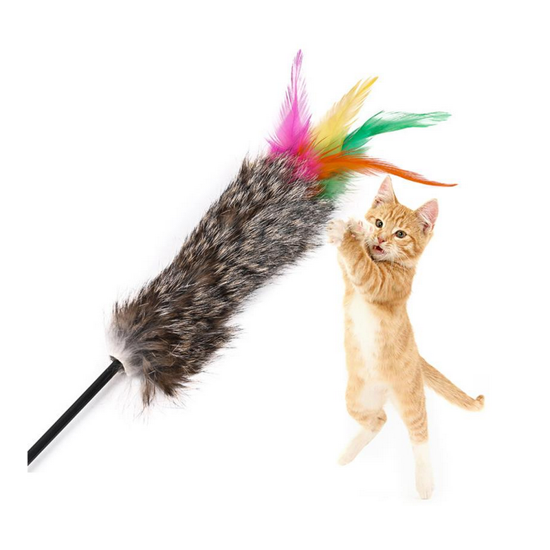 soft tail feather duster
