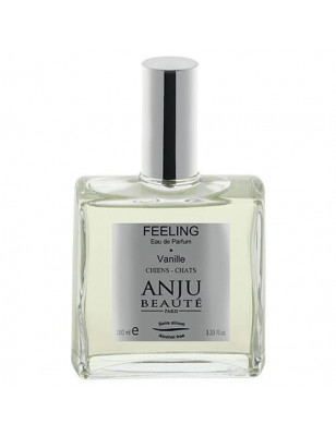 Perfume Anju Feeling Aroma Vainilla