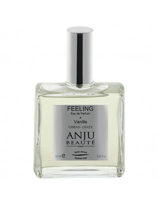 Perfume Anju Feeling Vanilla Scent