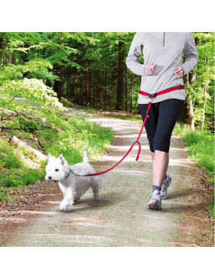 Trixie, Ceinture ventrale avec laisse pour chiens de petite et moyenne taille