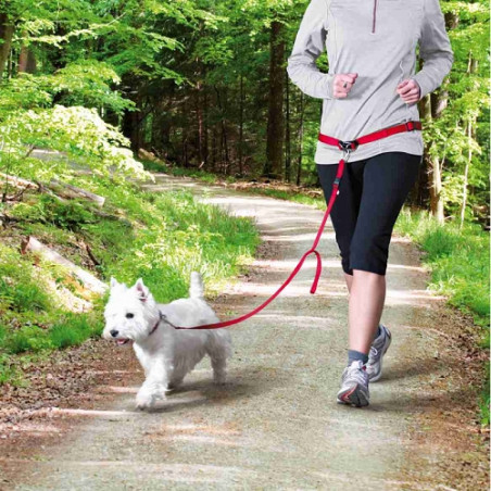 Trixie, Bauchgurt mit Leine für kleine und mittelgroße Hunde