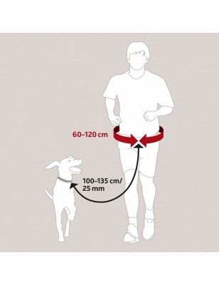 Trixie, Ceinture ventrale avec laisse