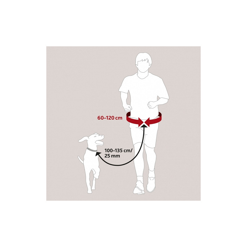Trixie, Belly belt with leash