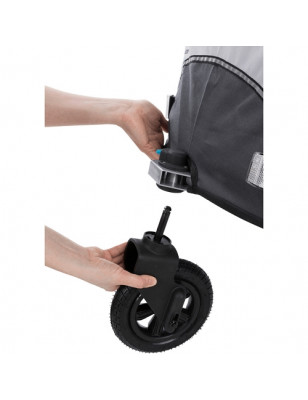 Trixie, rueda delantera buggy